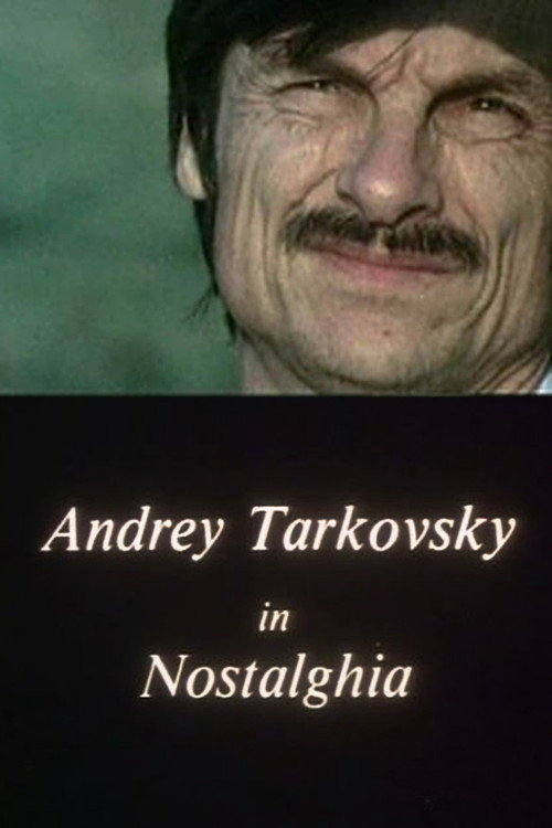 Movie poster for Andrey Tarkovsky in Nostalghia (1984)
