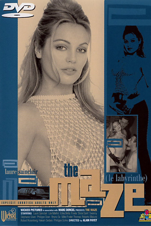 Movie poster for The Maze (1997)