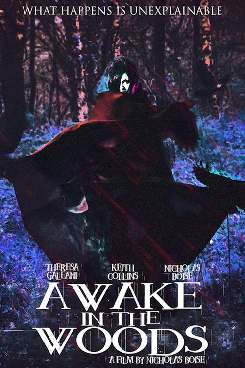 Movie poster for Awake In The Woods (2015)