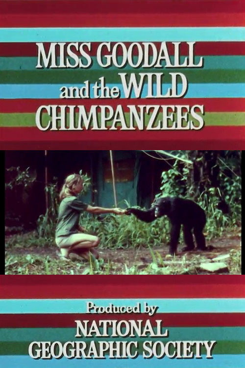 Movie poster for Miss Goodall and the Wild Chimpanzees (1965)