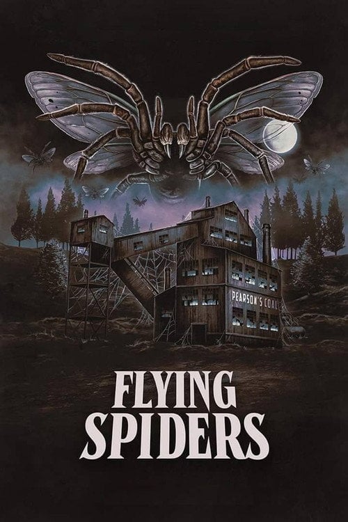 Movie poster for Flying Spiders