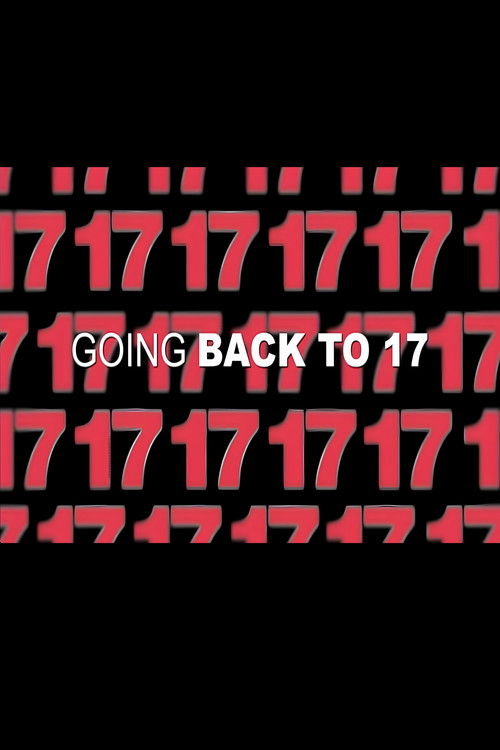 Movie poster for 17 Agan: Going Back to 17 (2009)