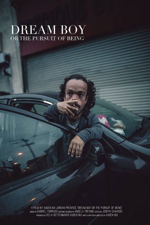Movie poster for Dream Boy or the Pursuit of Being (2019)