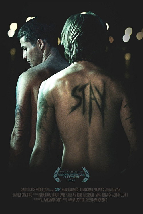 Movie poster for Stay (2013)