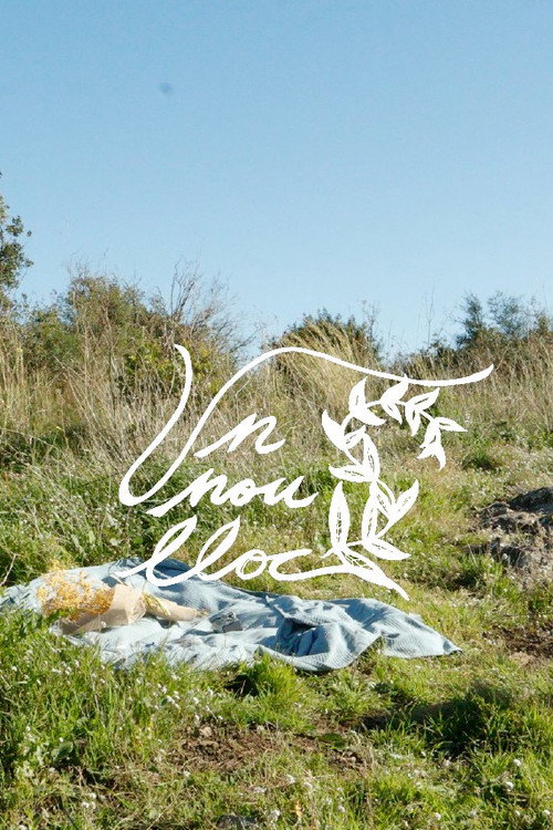 Movie poster for Un Nou Lloc