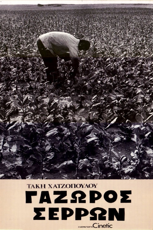 Movie poster for Gazoros Serron (1974)