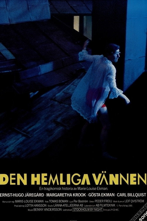 Movie poster for The Secret Friend (1990)
