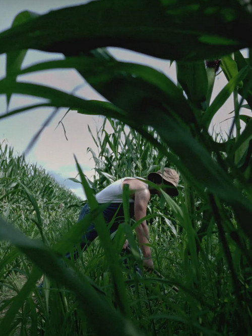 Movie poster for S.a.p.i.n.g.r.i.s. (2024)