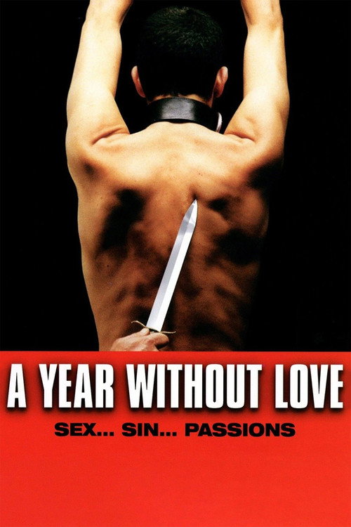 Movie poster for A Year Without Love (2005)