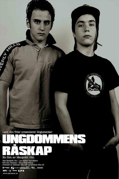 Movie poster for Raw Youth (2004)
