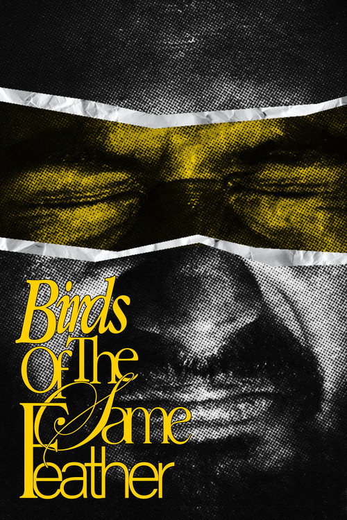 Movie poster for Birds Of The Same Feather. (2024)