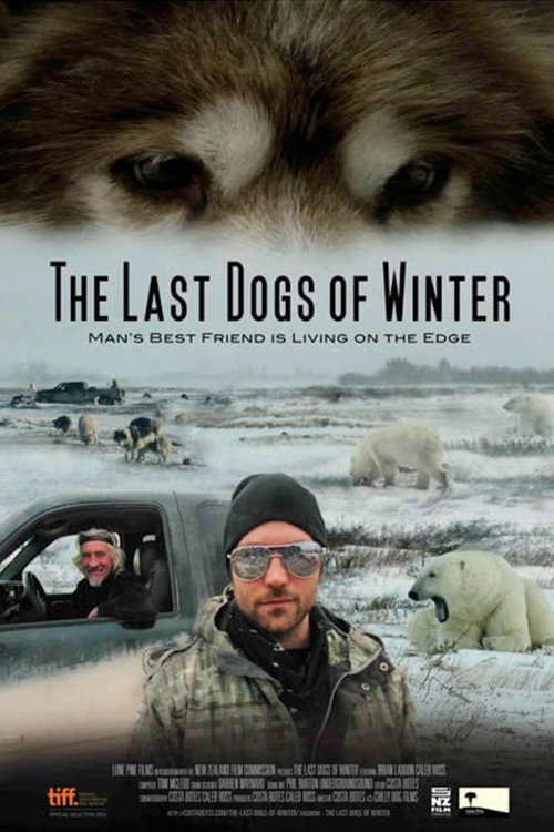 Movie poster for The Last Dogs of Winter (2012)