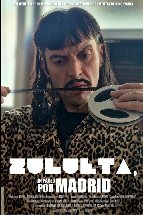 Zulueta, un paseo por Madrid poster