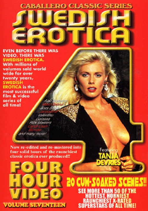 Movie poster for Swedish Erotica 17 (2003)