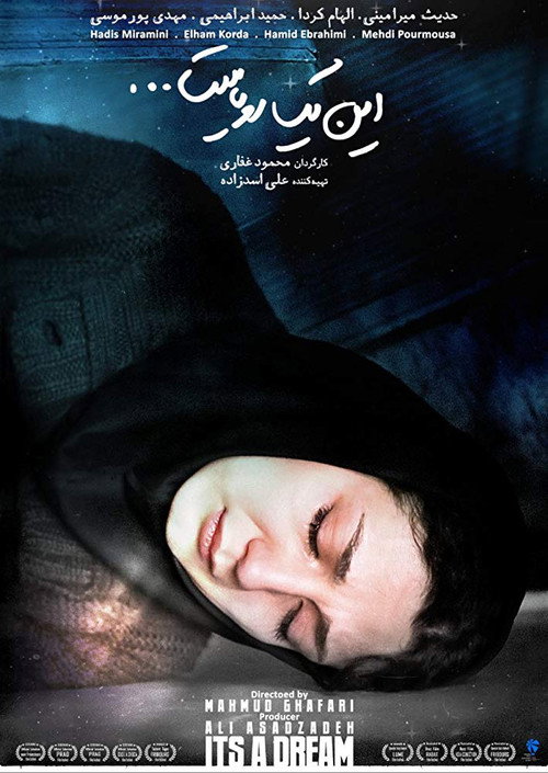 Movie poster for It's a Dream (2012)