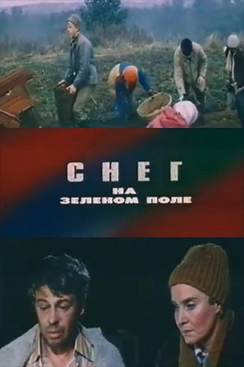 Movie poster for Snow on a Green Field (1981)
