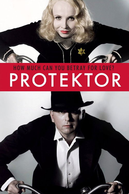 Movie poster for The Protector (2009)