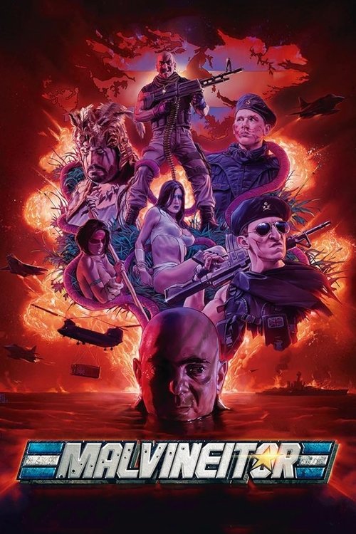 Movie poster for Malvineitor (2017)