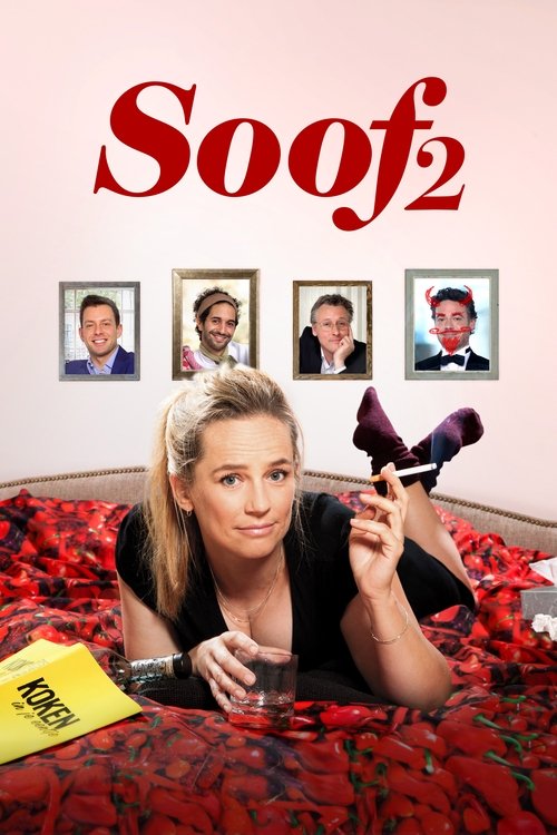 Movie poster for Soof 2 (2016)