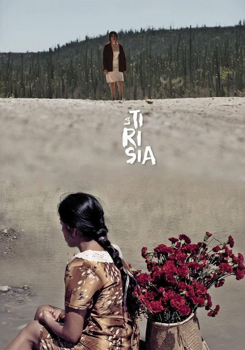 Movie poster for Perpetual Sadness (2014)