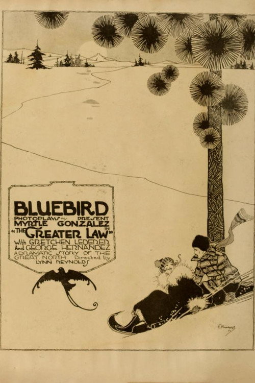 Movie poster for The Greater Law (1917)