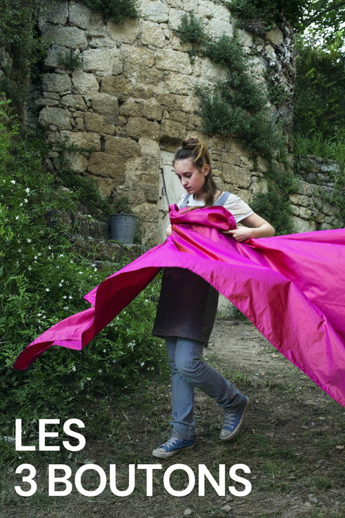 Movie poster for Les 3 Boutons (2015)