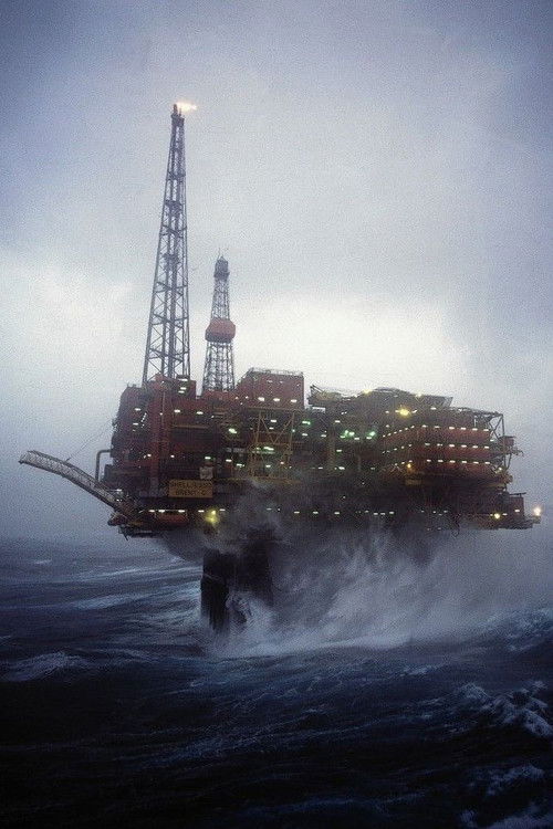 Wasted Windfall poster