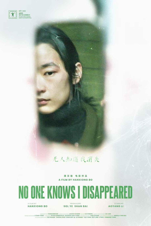 Movie poster for No One Knows I Disappeared (2025)
