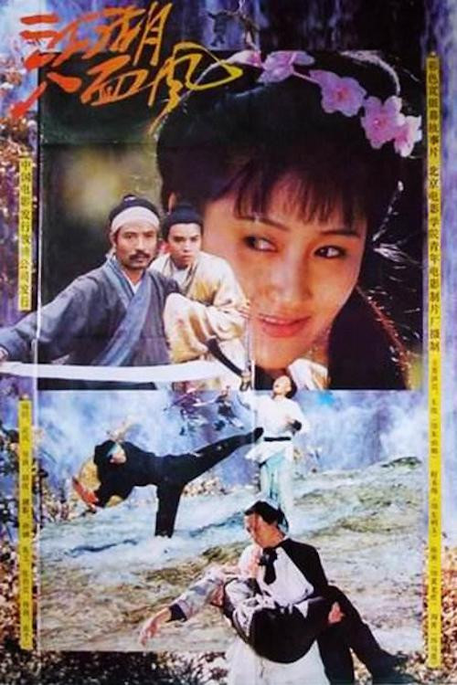 Movie poster for 江湖八面风 (1991)