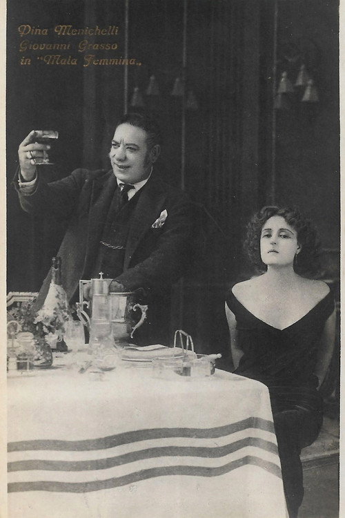 Movie poster for L' ospite sconosciuta (1923)