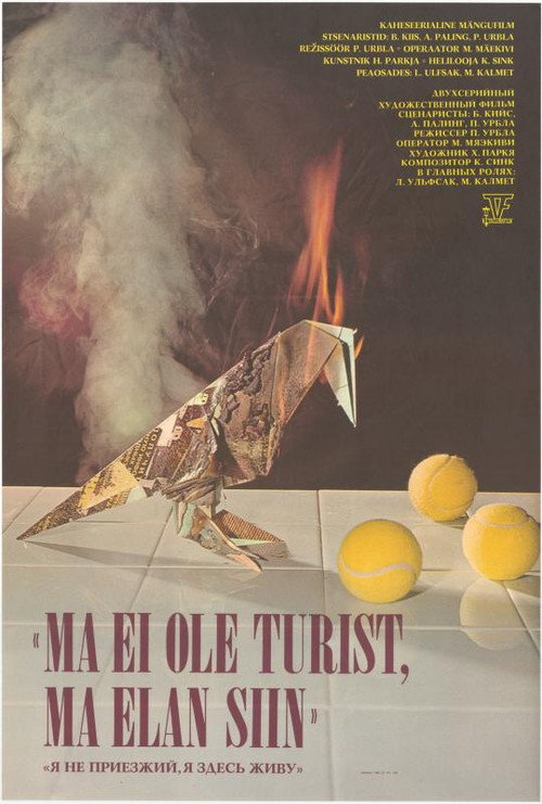 Movie poster for I'm Not a Tourist, I Live Here (1989)
