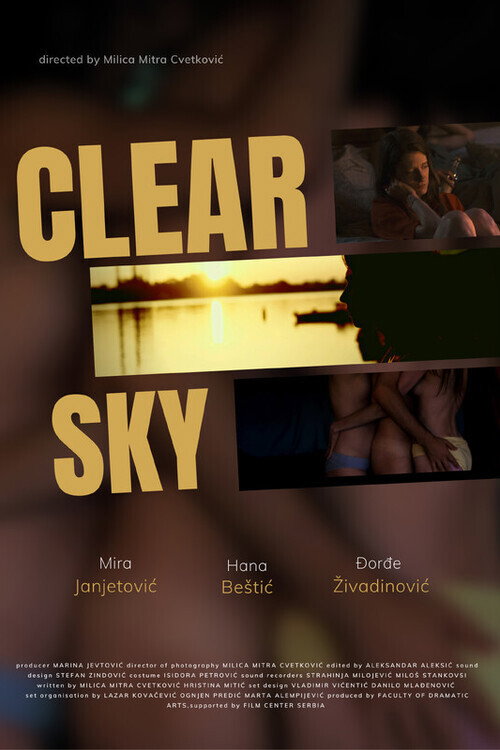 Movie poster for Clear Sky (2023)