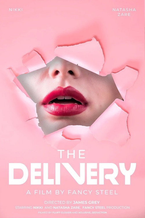 Movie poster for The delivery (2020)