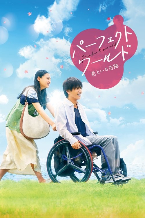 Movie poster for Perfect World (2018)