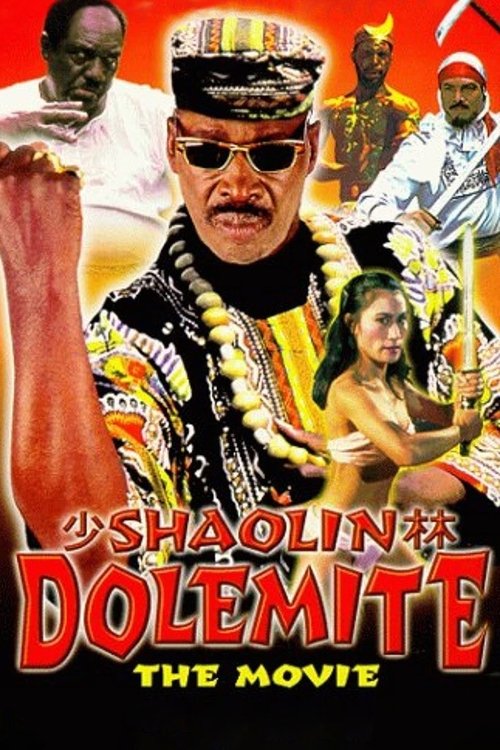 Movie poster for Shaolin Dolemite (1999)