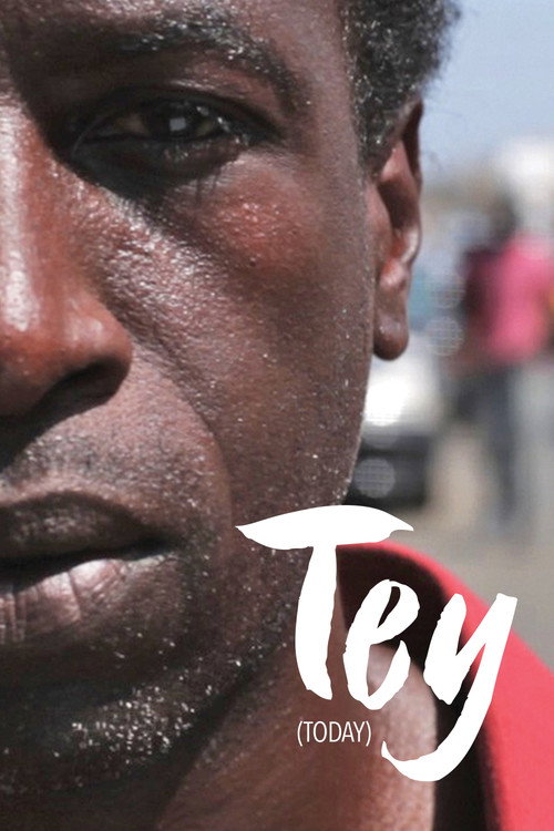 Movie poster for Today (2013)