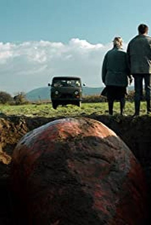 Movie poster for A répa (2016)