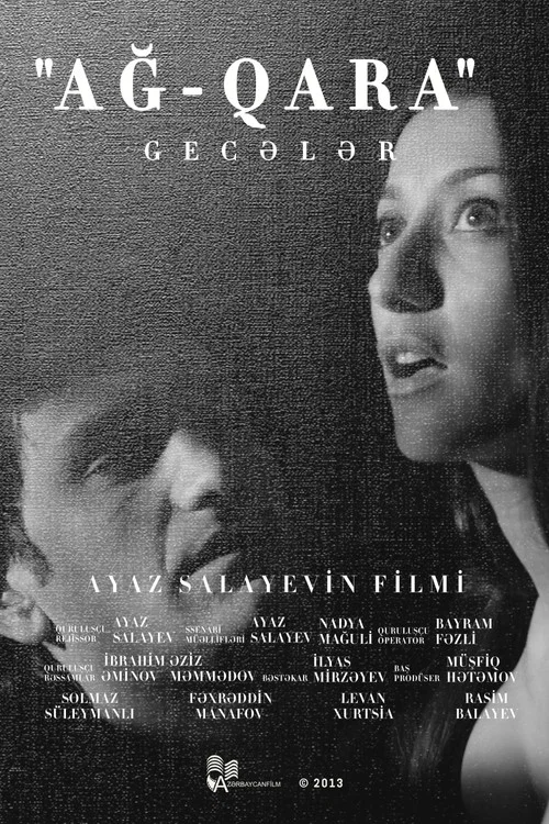 Movie poster for Black & White Nights (2013)
