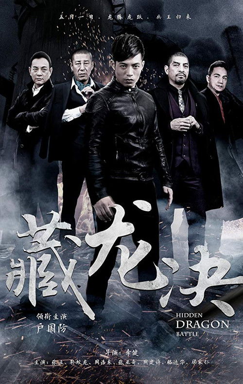 Movie poster for Hidden Dragon Battle (2017)