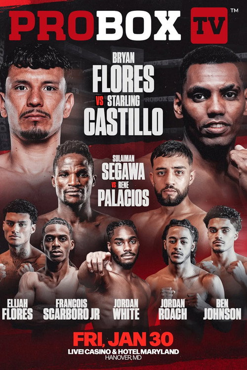 Movie poster for Bryan Flores vs. Starling Castillo (2026)