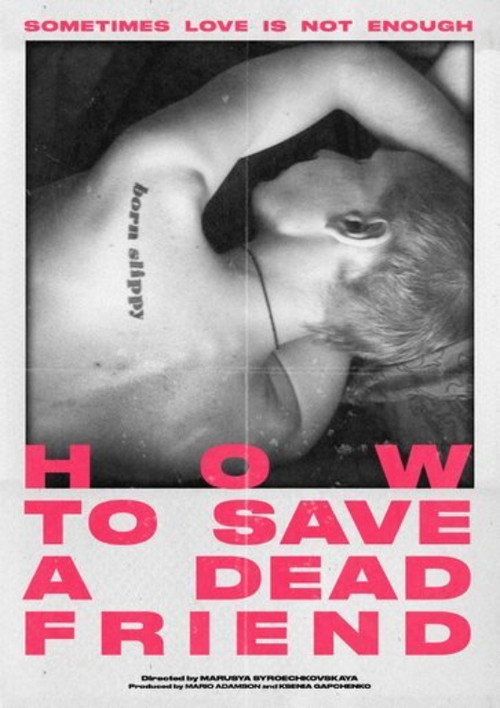 Movie poster for How to Save a Dead Friend (2023)