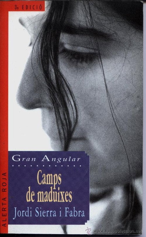Movie poster for Camps de maduixes (2005)
