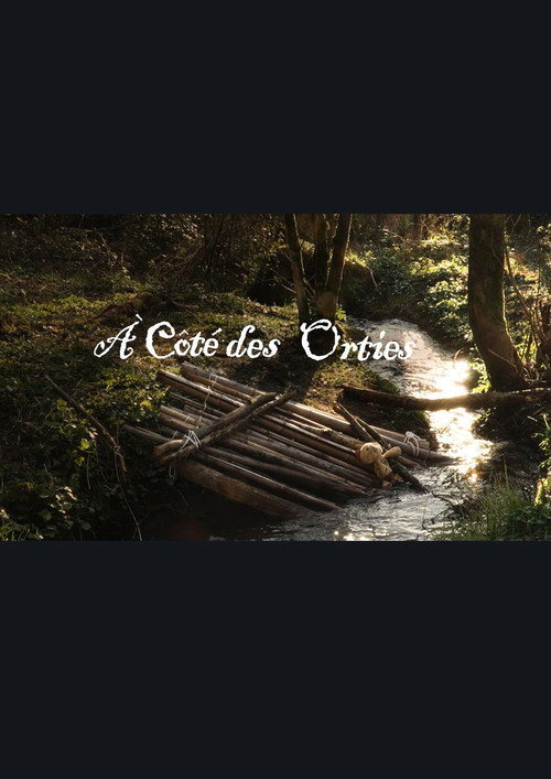 Movie poster for A côté des orties
