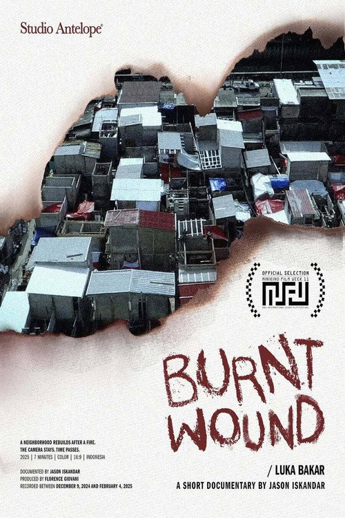 Movie poster for Burnt Wound (2025)