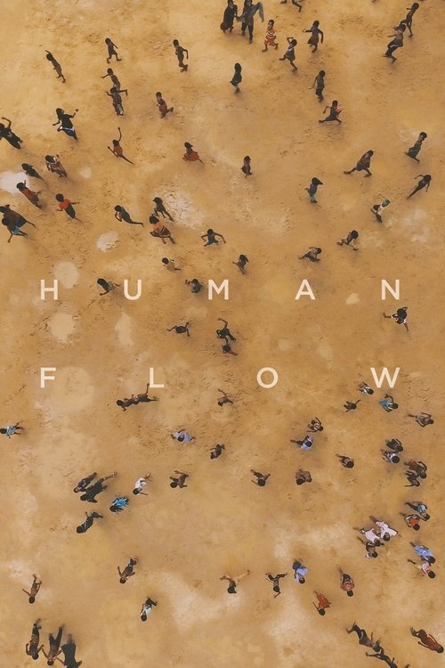 Movie poster for Human Flow (2017)