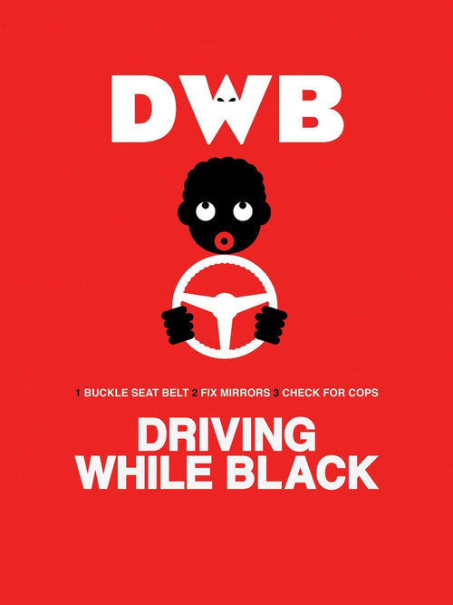 Movie poster for Driving While Black (2015)