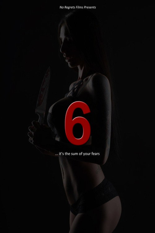 Movie poster for 6