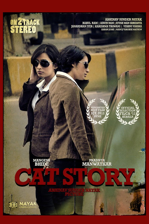 Movie poster for Cat Story (2011)