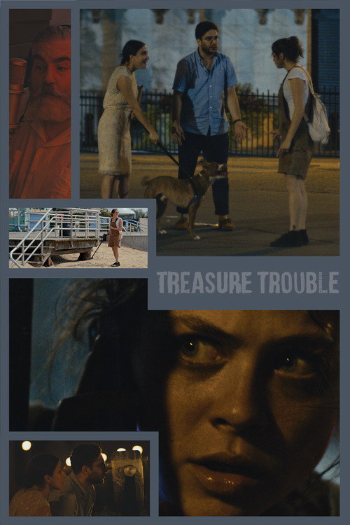 Movie poster for Treasure Trouble (2019)