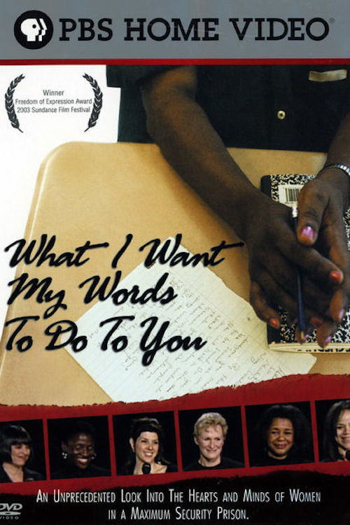 Movie poster for What I Want My Words to Do to You (2003)